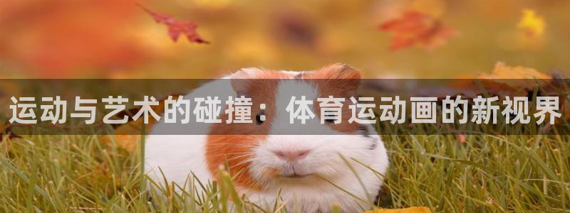 vsport体育官方正版app代理：运动与艺术的碰撞