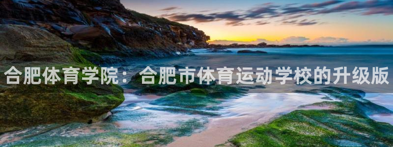 vsport体育官方集团官网：合肥体育学院：合肥市体