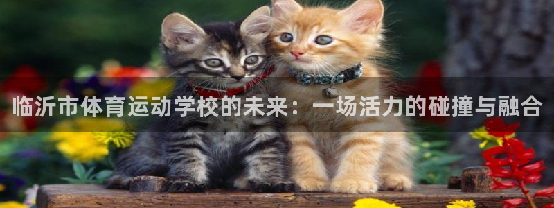 vsport体育官网下载招商电话号码是多少：临沂市体