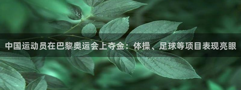 vsport体育官方正版app娱乐下载：中国运动员在