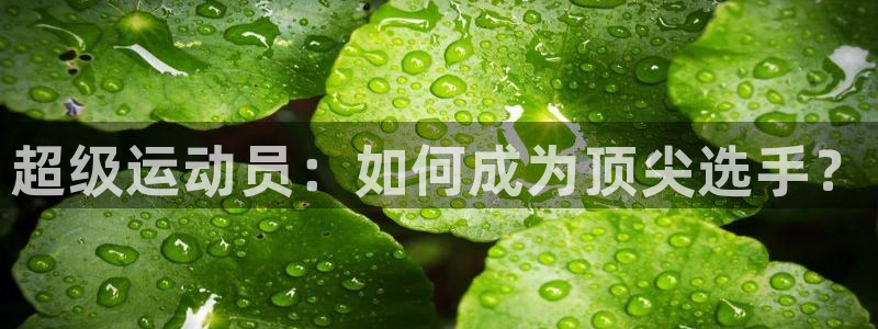 vsport体育官方正版app官网：超级运动员：如何