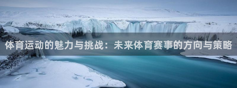 vsport体育官方平台体育：体育运动的魅力与挑战：