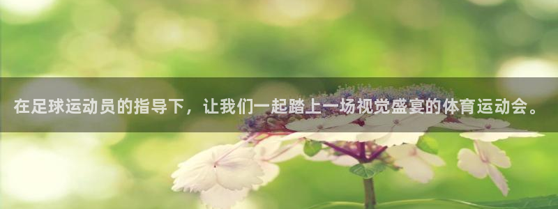 vsport体育官网下载平台注册要钱吗安全吗：在足球