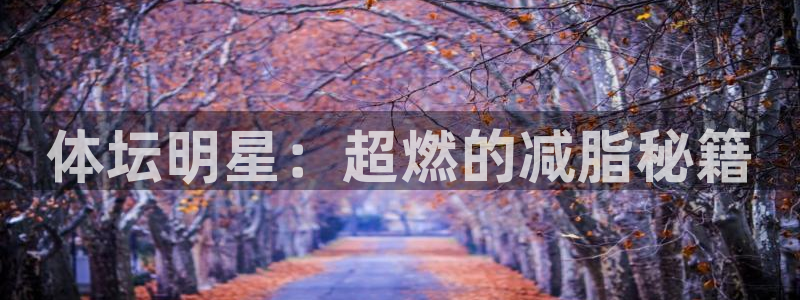 vsport体育官方正版app集团E.ON：体坛明星