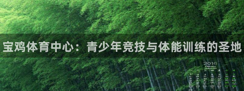vsport体育官方正版app集团官网首页：宝鸡体育