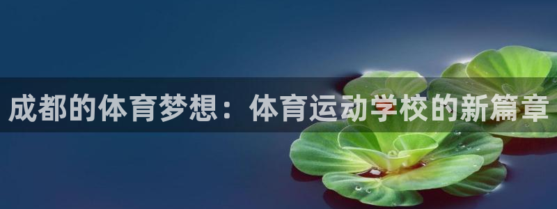 vsport体育官网下载平台注册要钱吗安全吗：成都的