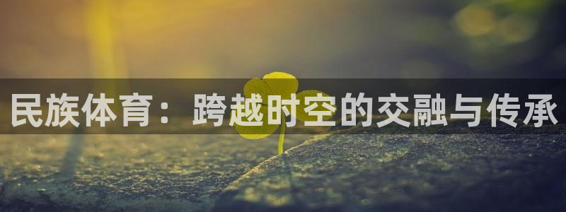 vsport体育官方正版app代理