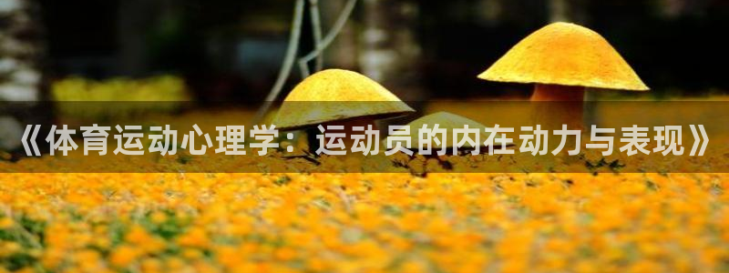 vsport体育官网下载平台注册要钱吗是真的吗：《体