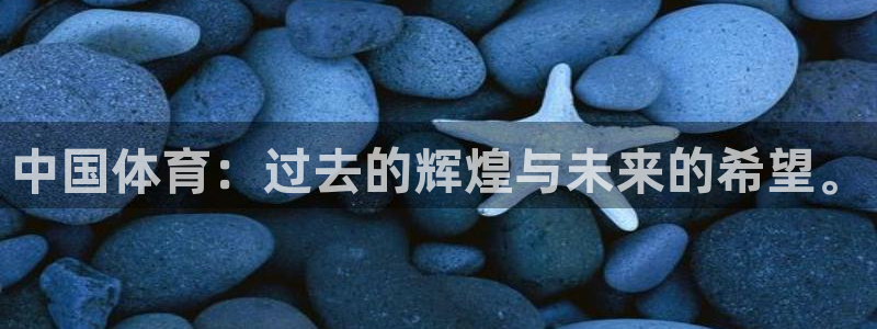 vsport体育官网下载招商电话地址：中国体育：过去
