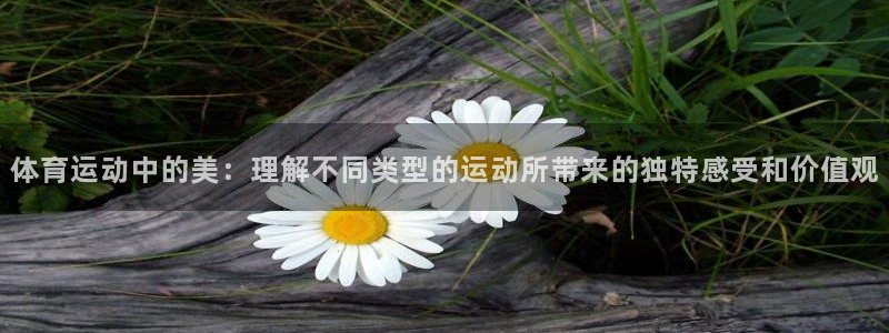 vsport体育官方正版app集团E.ON：体育运动