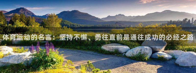 vsport体育官方正版app娱乐首页官网下载