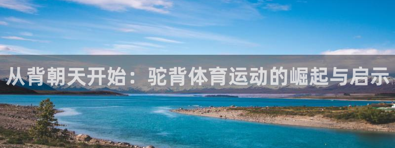 vsport体育官网下载平台是正规平台吗安全吗
