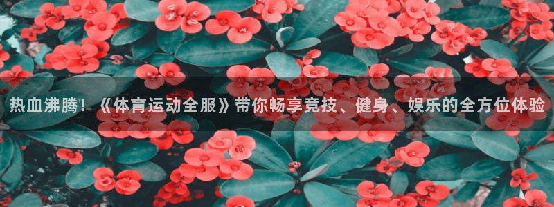 vsport体育官方正版app官网：热血沸腾！《体育运动全服