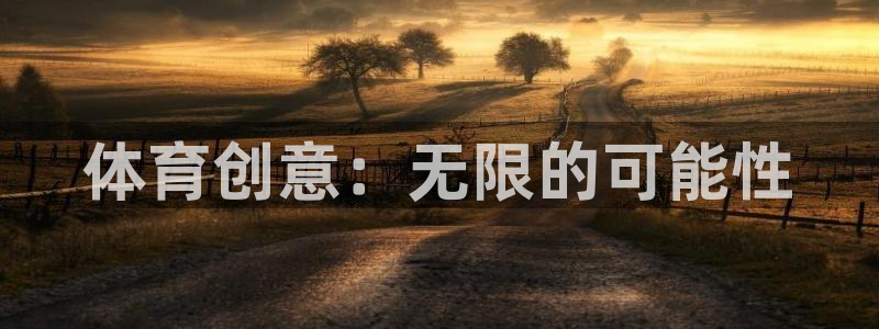 vsport体育官方正版app娱乐是那个系列的台子：体育创意