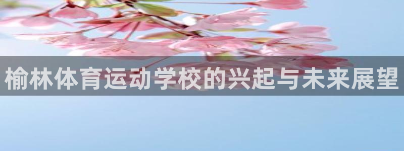 vSport体育app最新版本更新内容