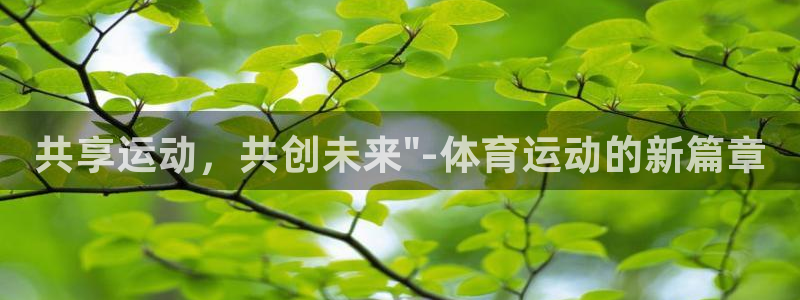 vsport体育在线官网：共享运动，