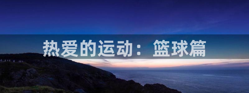 Vsport体育官方网站入口：热爱的运动：篮球篇