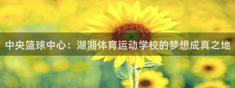 vsport体育：中央篮球中心：湖湘