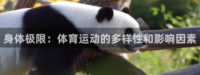  vsport体育在线官网：身体极限：体育运动的多样性和影响因