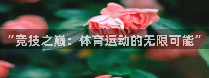 Vsport体育官网：“竞技之巅：体