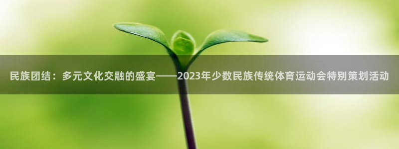 VSport体育平台-胜利因您更精彩：民族团结：多元文化交融