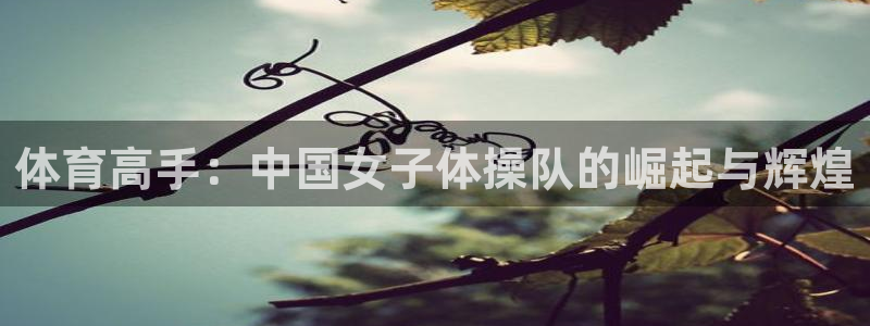  vSport体育app最新版本更新内容：体育高手：中国女子体