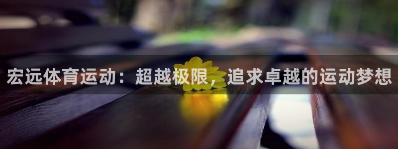  vsport体育在线官网：宏远体育运动：超越极限，追求卓越的
