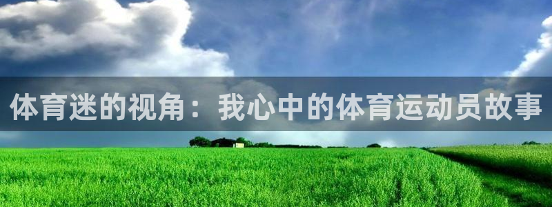  VSport体育平台-胜利因您更精彩：体育迷的视角：我心中的