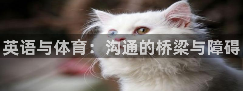 VSport体育官网入口：英语与体育：沟通的桥梁与障碍