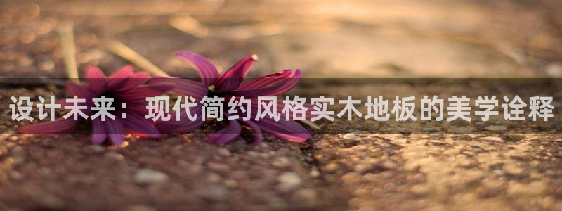 vsport体育官网：设计未来：现代