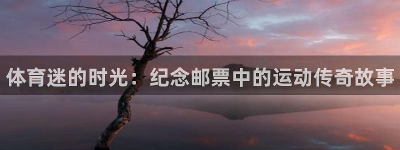 VSport体育官网入口：体育迷的时