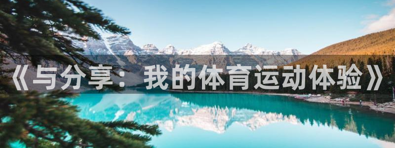 vsport体育平台app下载安装免