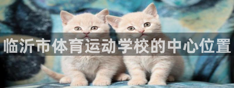 vsport体育平台app下载安装免