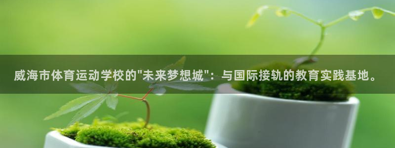VSport体育官网入口