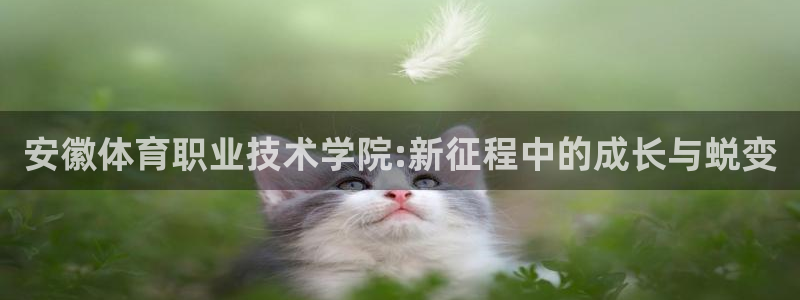  vsport体育官网：安徽体育职业技术学院:新征程中的成长与